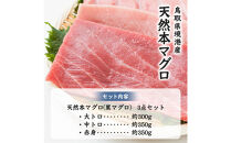 天然本マグロ(黒マグロ)　3点セット(大トロ・中トロ・赤身)&nbsp;1kg&nbsp;|&nbsp;本マグロ&nbsp;クロマグロ&nbsp;黒マグロ&nbsp;天然マグロ&nbsp;マグロ&nbsp;まぐろ&nbsp;刺身用&nbsp;サク&nbsp;柵&nbsp;海鮮&nbsp;魚介&nbsp;魚介類&nbsp;赤身&nbsp;中トロ&nbsp;大トロ&nbsp;食べ比べ&nbsp;セット&nbsp;&nbsp;&nbsp;&nbsp;高級魚&nbsp;贅沢食材&nbsp;刺身&nbsp;海鮮丼&nbsp;寿司用&nbsp;家庭用&nbsp;&nbsp;&nbsp;お取り寄せ&nbsp;グルメ&nbsp;人気&nbsp;おすすめ&nbsp;国産&nbsp;鳥取県&nbsp;境港市