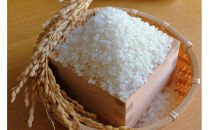 南知多産しらすをふんだんに使った「贅沢しらすむすび（10個入り）|&nbsp;おにぎり専門店&nbsp;四代目お結び屋&nbsp;&nbsp;冷凍おにぎり&nbsp;産地直送