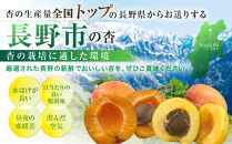 皮ごと食べられる杏「ハーコット」1kg&nbsp;|&nbsp;&nbsp;あんず&nbsp;杏&nbsp;ハーコット&nbsp;生食&nbsp;フルーツ&nbsp;果物&nbsp;おすすめ&nbsp;人気&nbsp;送料無料&nbsp;長野県&nbsp;長野市&nbsp;信州&nbsp;信濃&nbsp;ふるさと納税