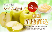 シナノゴールド3kg&nbsp;|&nbsp;シナノゴールド&nbsp;りんご&nbsp;フルーツ&nbsp;果物&nbsp;林檎&nbsp;リンゴ&nbsp;アップル&nbsp;くだもの&nbsp;人気&nbsp;&nbsp;おすすめ&nbsp;ギフト&nbsp;プレゼント&nbsp;送料無料&nbsp;長野県&nbsp;長野市&nbsp;信州&nbsp;信濃&nbsp;ふるさと納税