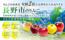 シナノゴールド3kg&nbsp;|&nbsp;シナノゴールド&nbsp;りんご&nbsp;フルーツ&nbsp;果物&nbsp;林檎&nbsp;リンゴ&nbsp;アップル&nbsp;くだもの&nbsp;人気&nbsp;&nbsp;おすすめ&nbsp;ギフト&nbsp;プレゼント&nbsp;送料無料&nbsp;長野県&nbsp;長野市&nbsp;信州&nbsp;信濃&nbsp;ふるさと納税
