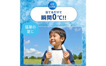 冷温スティック　W-BOTTLE　ブルー