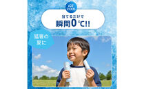 冷温スティック　W-BOTTLE　カスミピンク