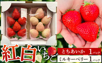 【先行予約受付】≪2027年1月発送≫&nbsp;白箱&nbsp;とちあいか&nbsp;ミルキーベリー&nbsp;紅白セット&nbsp;｜果物&nbsp;いちご&nbsp;朝取り&nbsp;新鮮&nbsp;ハート&nbsp;フルーツ&nbsp;デザート&nbsp;ストロベリー&nbsp;デザート&nbsp;スイーツ&nbsp;苺&nbsp;イチゴ&nbsp;大田原市&nbsp;栃木県