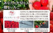 【先行予約受付】≪2027年1月発送≫&nbsp;白箱&nbsp;とちあいか&nbsp;ミルキーベリー&nbsp;紅白セット&nbsp;｜果物&nbsp;いちご&nbsp;朝取り&nbsp;新鮮&nbsp;ハート&nbsp;フルーツ&nbsp;デザート&nbsp;ストロベリー&nbsp;デザート&nbsp;スイーツ&nbsp;苺&nbsp;イチゴ&nbsp;大田原市&nbsp;栃木県