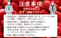 【先行予約受付】≪2027年1月発送≫&nbsp;白箱&nbsp;とちあいか&nbsp;ミルキーベリー&nbsp;紅白セット&nbsp;｜果物&nbsp;いちご&nbsp;朝取り&nbsp;新鮮&nbsp;ハート&nbsp;フルーツ&nbsp;デザート&nbsp;ストロベリー&nbsp;デザート&nbsp;スイーツ&nbsp;苺&nbsp;イチゴ&nbsp;大田原市&nbsp;栃木県