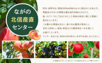 【※2027年7月以降発送分&nbsp;先行受付】長野市産&nbsp;旬の桃&nbsp;ワッサー&nbsp;約５kg&nbsp;|&nbsp;&nbsp;桃&nbsp;もも&nbsp;モモ&nbsp;フルーツ&nbsp;果物&nbsp;旬&nbsp;人気&nbsp;おすすめ&nbsp;&nbsp;送料無料&nbsp;&nbsp;長野県&nbsp;長野市&nbsp;信州&nbsp;信濃&nbsp;ふるさと納税