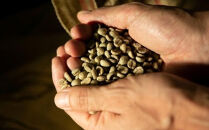 【母の日】珈琲浪漫&nbsp;アイスコーヒー&nbsp;1L×12本&nbsp;無糖&nbsp;コーヒー&nbsp;飲料&nbsp;濃いコーヒー&nbsp;愛知&nbsp;名古屋&nbsp;珈琲&nbsp;人気&nbsp;おすすめ&nbsp;|&nbsp;コーヒー&nbsp;珈琲&nbsp;アイスコーヒー&nbsp;濃いコーヒー&nbsp;老舗&nbsp;&nbsp;濃厚&nbsp;無糖&nbsp;飲料&nbsp;人気&nbsp;おすすめ&nbsp;カフェ&nbsp;ドリンク&nbsp;コーヒー豆&nbsp;深煎り&nbsp;ストレート&nbsp;アイスドリンク&nbsp;ギフト&nbsp;プレゼント&nbsp;送料無料