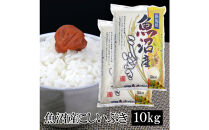 お米マイスター厳選！7年産魚沼産こしいぶき　10kg(5kg×2)