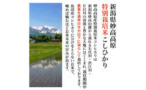【令和8年産新米&nbsp;定期便・先行予約】新潟県妙高高原減農薬特別栽培米&nbsp;&nbsp;真空パック&nbsp;900g×6袋　全12回