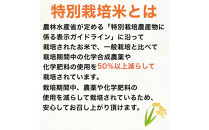 【令和8年産新米&nbsp;定期便・先行予約】新潟県妙高高原減農薬特別栽培米&nbsp;&nbsp;真空パック&nbsp;900g×6袋　全12回