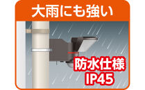 ACセンサーライト１灯　ESL-WY3001AC
