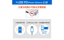 フラットUSBアダプターPD30W　UC-23B(W)