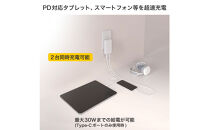 フラットUSBアダプターPD30W　UC-23B(W)