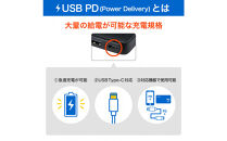 フラットUSBアダプターPD30W　UC-23B(BK)
