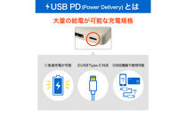 フラットUSBアダプターPD30W　UC-23B(BE)