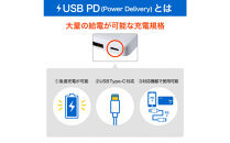 フラットUSBアダプターPD60W　UC-26B(W)