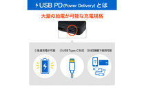 フラットUSBアダプターPD60W　UC-26B(BK)