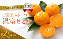 ≪香川・高松≫ご褒美ふるーつ「温室せとか」約2.5kg【2027年2月上旬からお届け】
