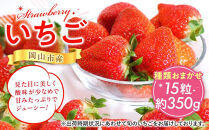 岡山市産 いちご 15粒(約350g)種類おまかせ[2026年12月以降発送]
