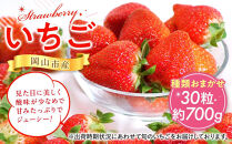 岡山県産いちご&nbsp;30粒（約700g）種類おまかせ【2026年12月以降発送】
