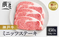 【冷蔵便】【辰屋】神戸牛ミニッツステーキ&nbsp;150g×3（計450g）