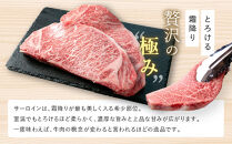 【冷蔵便】【辰屋】神戸牛&nbsp;サーロイン&nbsp;ブロック&nbsp;1kg（ステーキ／ローストビーフ用）