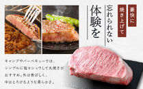 【冷蔵便】【辰屋】神戸牛&nbsp;サーロイン&nbsp;ブロック&nbsp;1kg（ステーキ／ローストビーフ用）