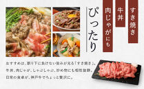 【冷蔵便】【辰屋】神戸牛専門店の贅沢まかない肉&nbsp;600g（切り落とし肉）