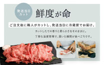 【冷蔵便】【辰屋】神戸牛専門店の贅沢まかない肉&nbsp;600g（切り落とし肉）