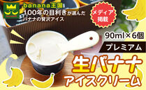 【果実のままの甘み】プレミアム生バナナアイスクリーム&nbsp;6個セット｜冷凍スイーツ&nbsp;濃厚&nbsp;なめらか&nbsp;ひんやり&nbsp;デザート&nbsp;おやつ&nbsp;ご褒美&nbsp;おしゃれ&nbsp;プレゼント&nbsp;手土産&nbsp;お祝い&nbsp;女性向け&nbsp;おうちカフェ&nbsp;お取り寄せ&nbsp;愛知県&nbsp;名古屋
