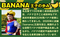 【定期便2ヶ月】【子軽やかな食感の贅沢おやつ】プレミアムバナナチップス&nbsp;120g&nbsp;5袋&nbsp;｜ドライフルーツ&nbsp;おやつ&nbsp;スナック&nbsp;お菓子&nbsp;軽食&nbsp;スイーツ&nbsp;サクサク&nbsp;おつまみ&nbsp;ギフト&nbsp;プレゼント&nbsp;お配り&nbsp;家庭用&nbsp;子供&nbsp;女性向け&nbsp;おしゃれ&nbsp;お取り寄せ&nbsp;愛知県&nbsp;名古屋市