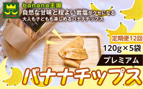 【定期便12ヶ月】【軽やかな食感の贅沢おやつ】プレミアムバナナチップス&nbsp;120g&nbsp;5袋&nbsp;｜ドライフルーツ&nbsp;おやつ&nbsp;スナック&nbsp;お菓子&nbsp;軽食&nbsp;スイーツ&nbsp;サクサク&nbsp;おつまみ&nbsp;ギフト&nbsp;プレゼント&nbsp;お配り&nbsp;家庭用&nbsp;子供&nbsp;女性向け&nbsp;おしゃれ&nbsp;お取り寄せ&nbsp;愛知県&nbsp;名古屋市