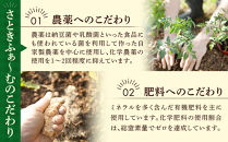 【先行予約】旭川のおまかせ野菜セット(8種以上)&nbsp;(2026年7月下旬発送開始)_05909
