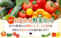 【先行予約】旭川のおまかせ野菜セット(8種以上)&nbsp;(2026年7月下旬発送開始)_05909