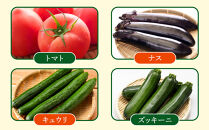 【先行予約】旭川のおまかせ野菜セット(8種以上)&nbsp;(2026年7月下旬発送開始)_05909