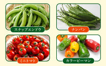【先行予約】旭川のおまかせ野菜セット(8種以上)&nbsp;(2026年7月下旬発送開始)_05909