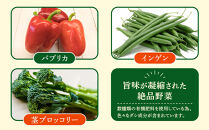 【先行予約】旭川のおまかせ野菜セット(8種以上)&nbsp;(2026年7月下旬発送開始)_05909