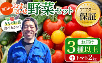 【先行予約】旭川のおまかせ野菜セット(トマト2kg＋3種以上)(2026年7月下旬発送開始)_05910