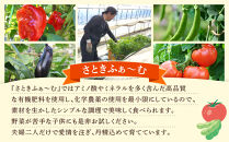【先行予約】旭川のおまかせ野菜セット(トマト2kg＋3種以上)(2026年7月下旬発送開始)_05910