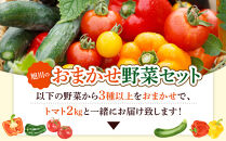 【先行予約】旭川のおまかせ野菜セット(トマト2kg＋3種以上)(2026年7月下旬発送開始)_05910