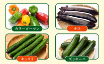 【先行予約】旭川のおまかせ野菜セット(トマト2kg＋3種以上)(2026年7月下旬発送開始)_05910