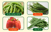 【先行予約】旭川のおまかせ野菜セット(トマト2kg＋3種以上)(2026年7月下旬発送開始)_05910