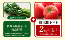 【先行予約】旭川のおまかせ野菜セット(トマト2kg＋3種以上)(2026年7月下旬発送開始)_05910