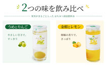 果実入り清涼飲料水&nbsp;ハニップC2種類セット&nbsp;［PL7］