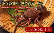 那智勝浦産&nbsp;伊勢海老&nbsp;1kg（各100～300g・4～5匹）