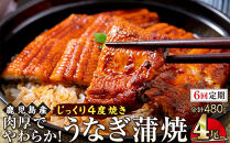 【6回定期】うなぎ&nbsp;蒲焼&nbsp;120g×4尾【鹿児島産】地下水で育てた絶品鰻