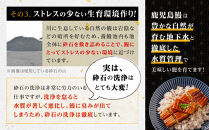 【3回定期】うなぎ&nbsp;蒲焼&nbsp;120g×5尾【鹿児島産】地下水で育てた絶品鰻