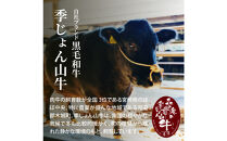 山牛を使った牛丼のもと7パックセット&nbsp;K16_0013_1