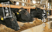 JAこゆ牛&nbsp;特選木城産&nbsp;赤身(もも・ウデ)600gすき焼き用_K56_0008